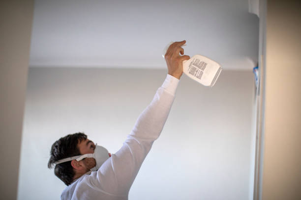 Best Residential Mold Remediation in Fish Hawk, FL