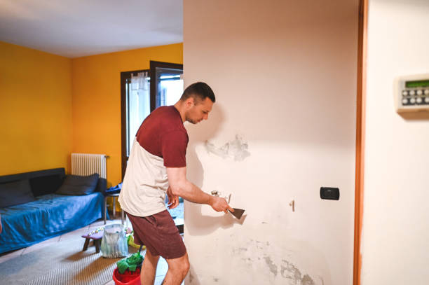 Best Attic Mold Remediation in Fish Hawk, FL